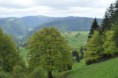 /album/galleria-fotografica/a2013-germania-dsc-0032-jpg/
